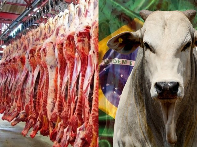 Exportação de carne bovina do Brasil bate recorde pelo 2º mês seguido