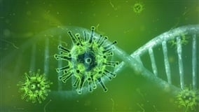 Ômicron afeta produção de frigoríficos gaúchos