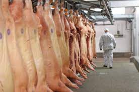 Exportação de carne suína do Brasil bate recorde mensal em março com China, diz ABPA